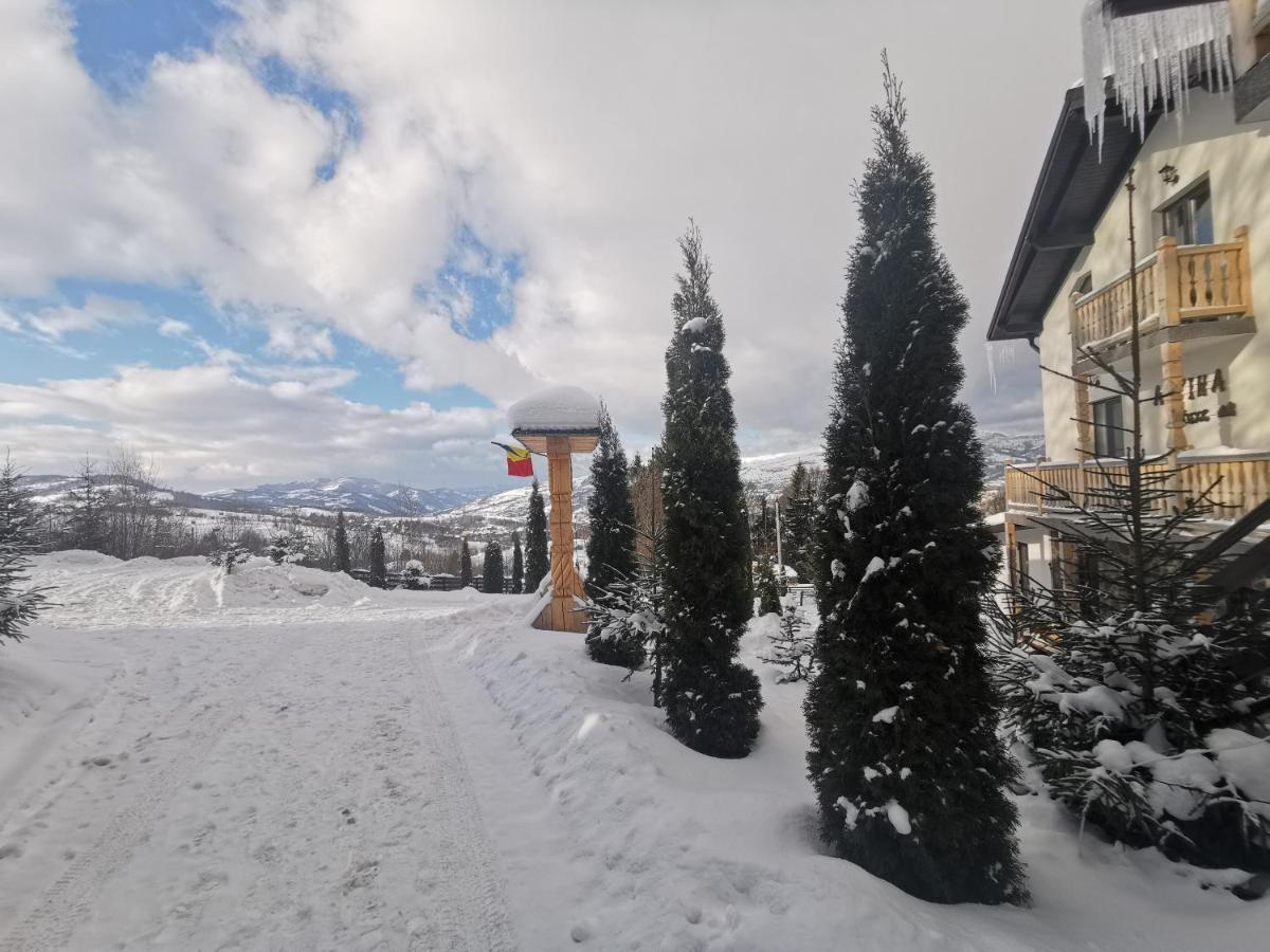Alpina Panoramic 호텔 모이세이 외부 사진