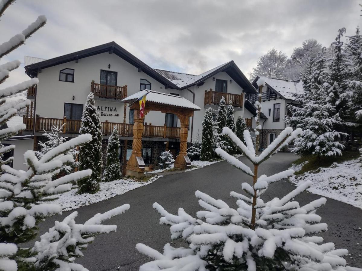 Alpina Panoramic 호텔 모이세이 외부 사진
