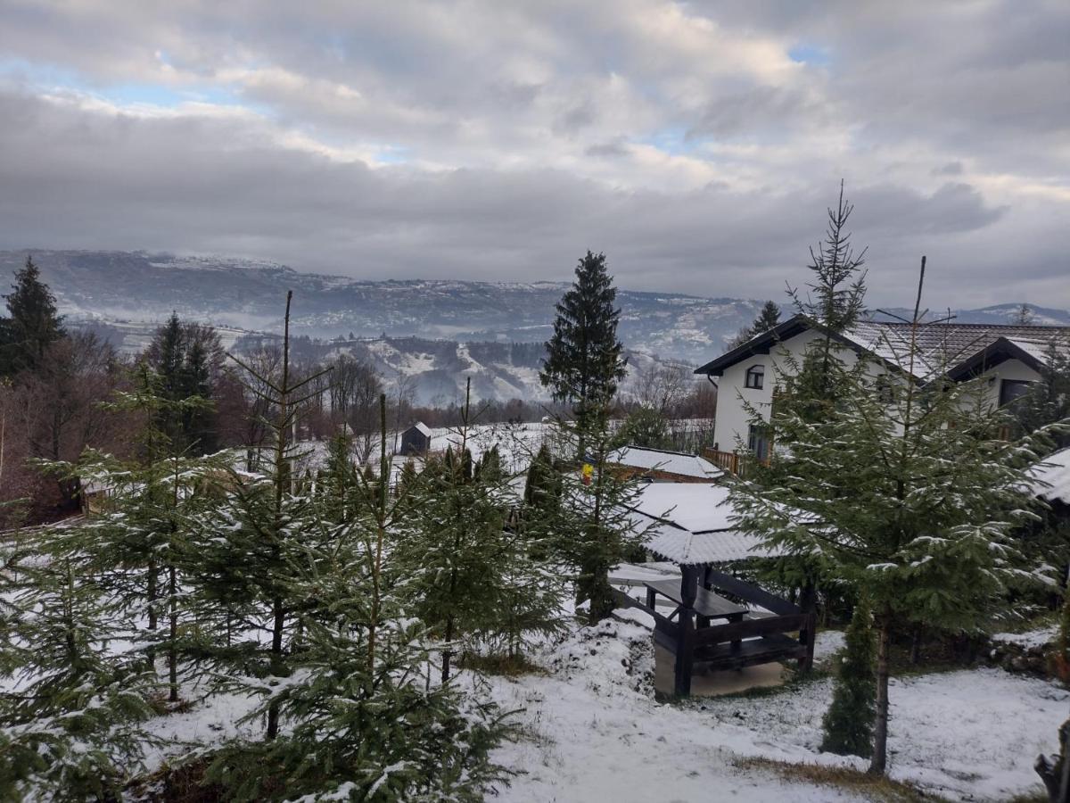 Alpina Panoramic 호텔 모이세이 외부 사진